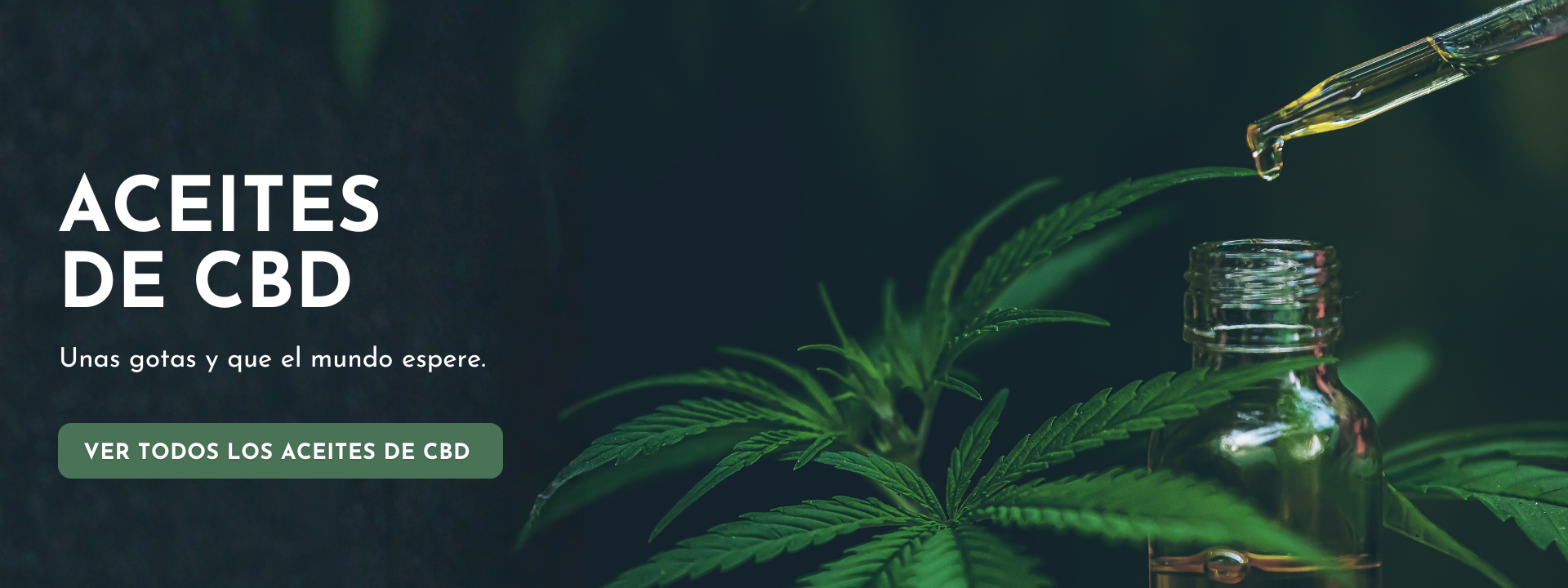 Banner de aceites de CBD